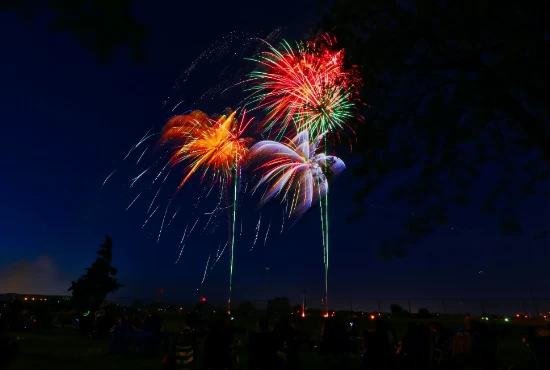 Celebrating Culture and Community: Must-Attend Events and Festivals in Mena, AR